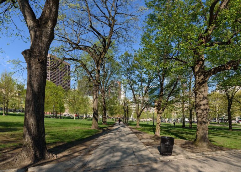 A paved path running between tall elms and green lawns on Boston Common in spring, with Downtown towers beyond the trees.