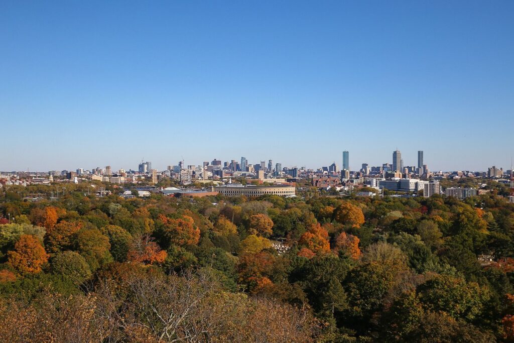 The Boston skyline seen in the distance over a wide canopy of orange and green fall foliage from the tower at Mount Auburn Cemetery in Cambridge.