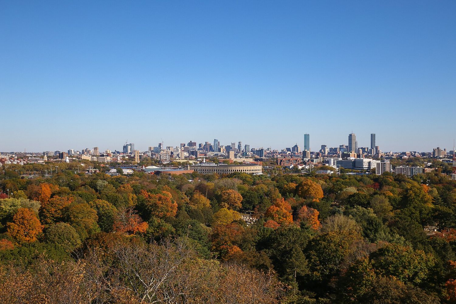 The Boston skyline seen in the distance over a wide canopy of orange and green fall foliage from the tower at Mount Auburn Cemetery in Cambridge.