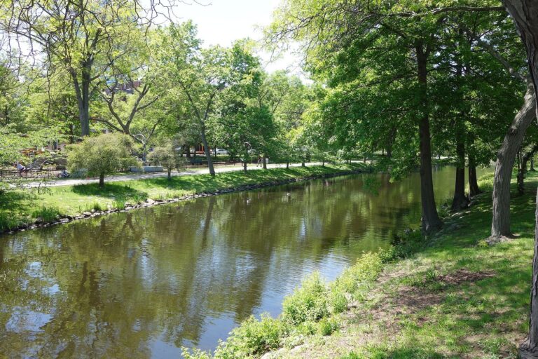 The tree-lined lagoon of the Charles River Esplanade in late spring, with grass banks and a path.