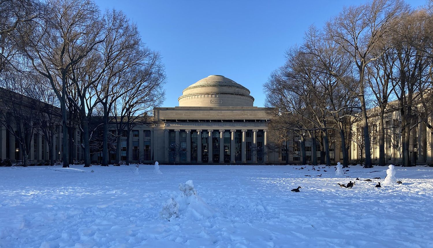 The neoclassical Great Dome of MIT seen across a snow-covered Killian Court, with bare trees on both sides, small snowmen on the lawn and Canada geese on the snow.