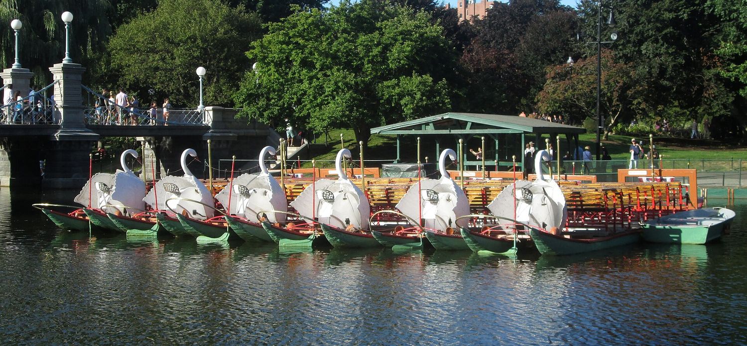 Six Swan Boats moored side by side on the Public Garden lagoon, their white carved swans lined up in a row beside the stone and iron footbridge, with a green-roofed landing shelter behind.