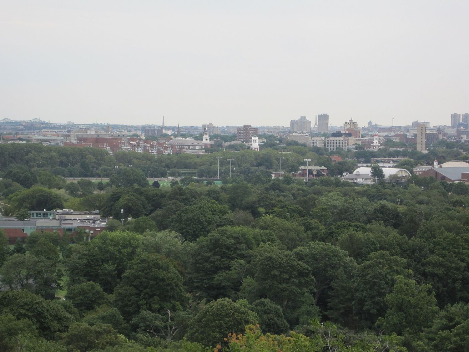 The view east from the Washington Tower over a sea of treetops in Mount Auburn Cemetery to Cambridge and Harvard's white steeples, with the Bunker Hill obelisk, the Zakim Bridge towers and the Tobin Bridge on the hazy horizon.